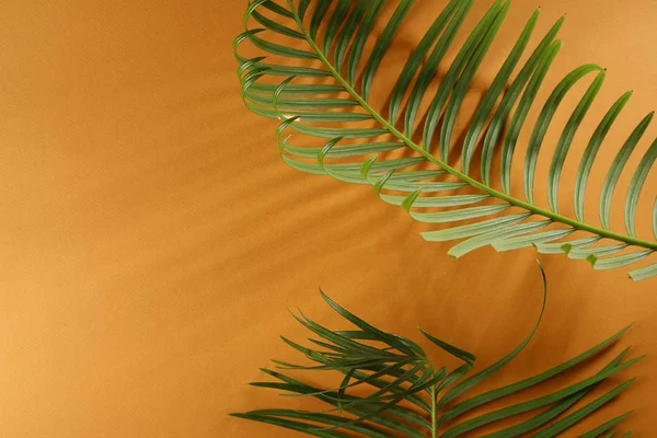 Желтый Тропический Фон Листьями — стоковое фото