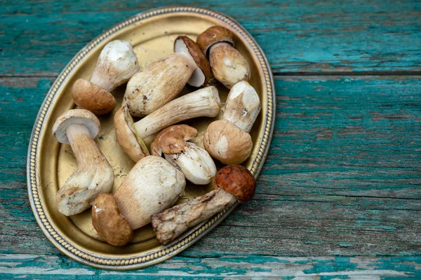 Forest Mushrooms Porcini Top View — Stock Photo, Image
