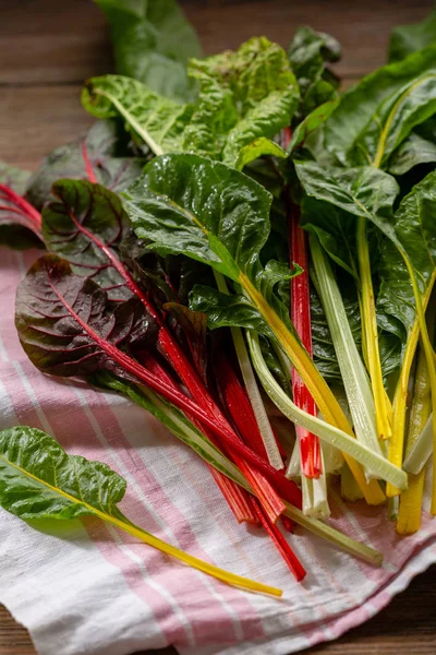 Harvest Swiss Chard — Stock Photo, Image