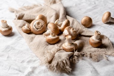 Taze kahverengi mantar portobello