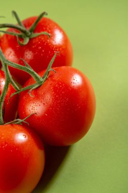 Dalı yeşil kırmızı domates