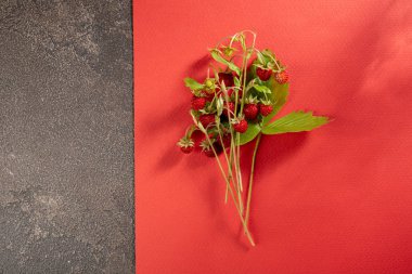 Orman meyveleri demet