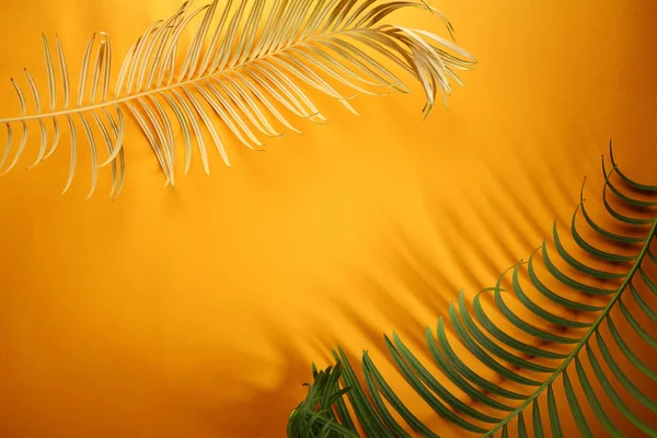 Фон Пальмовыми Листьями — стоковое фото