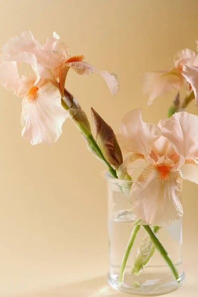 Iris Blumen Bouquet Glas — Stockfoto