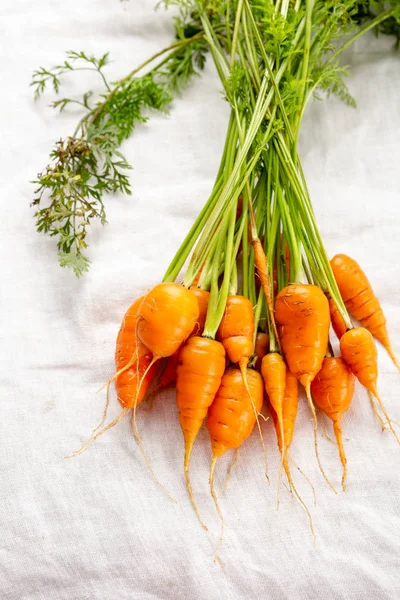 Bunch Fresh Carrots — Stock Photo, Image