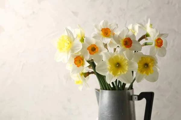 Fiori Narcisi Bianchi Primo Piano — Foto Stock