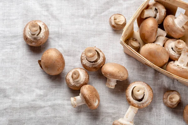 Cogumelos Frescos Caixa Vista Superior — Fotografia de Stock