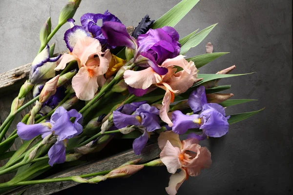 Blühen Bunte Irisblumen — Stockfoto