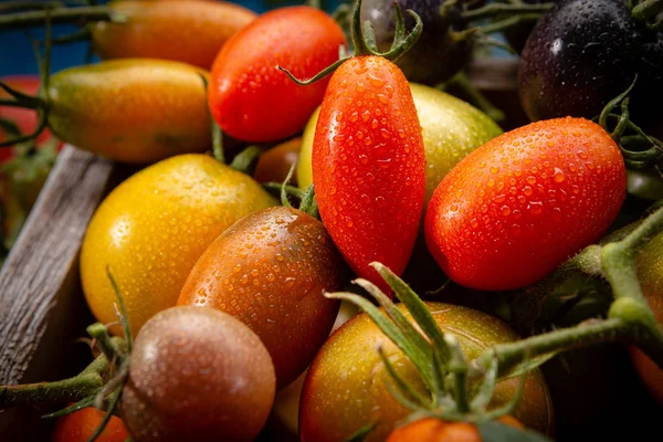 Fresh Tomatoes Mix Lose — Stock Photo, Image