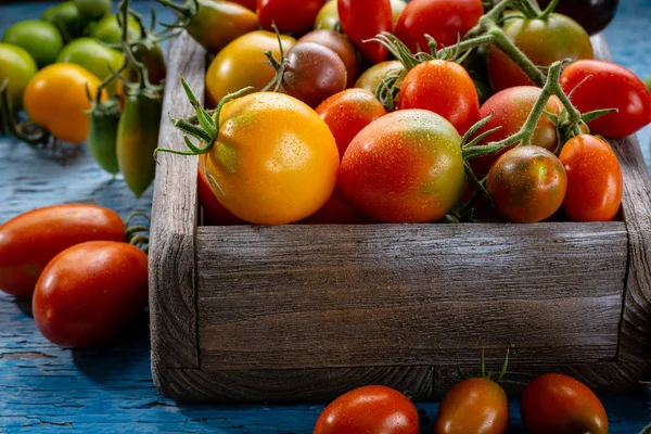 Colheita Tomates Locais Caixa Madeira — Fotografia de Stock
