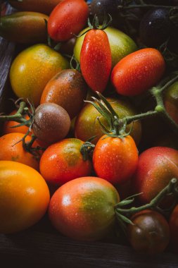 Taze olgun domates karışımı 