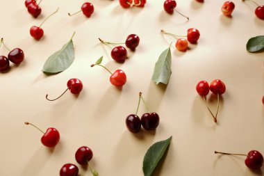 Yaz kiraz ve yaprak zemin