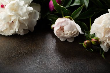 Karanlık çiçek arka plan kopya alanı ile