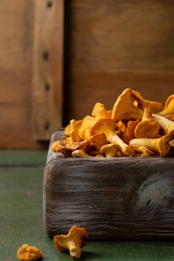 Taze orman chanterelles mantar