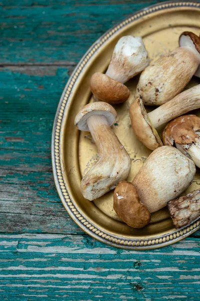 Fresh Porcini White Mushrooms — Stock Photo, Image