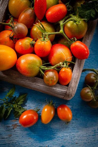 新鲜成熟的西红柿的顶部视图 — 图库照片
