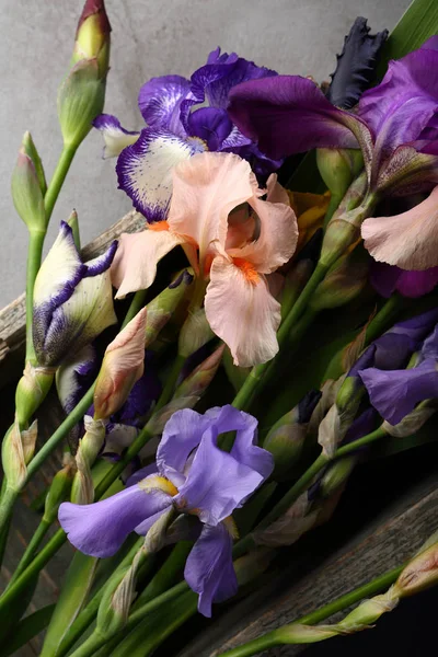Flores Frescas Verano Arriba — Foto de Stock