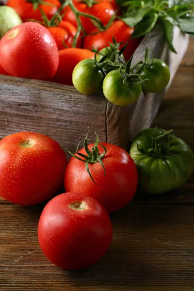 Skörden Ekologiska Lokala Tomater — Stockfoto