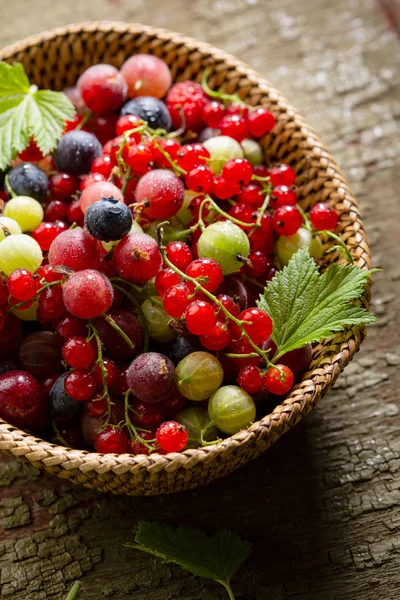 Summer berry mix in basket