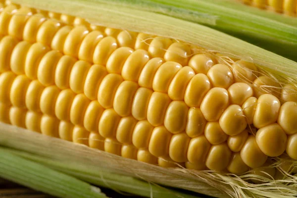 Свежий Кукурузный Початок Крупным Планом — стоковое фото