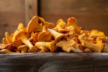 Taze chanterelles yakın çekim