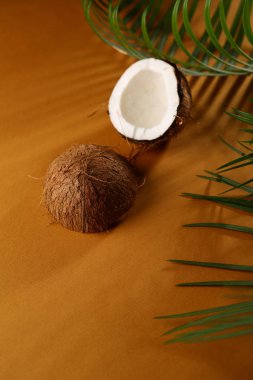 Ekranda palmiye dalı ve Hindistan cevizi