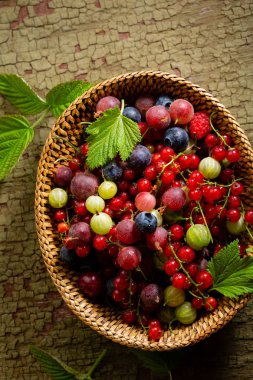 Yaz berry yeşil zemin üzerine