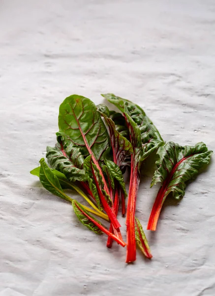 Bunch Young Swiss Chard — Stock Photo, Image