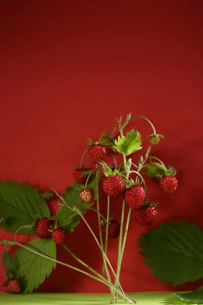 Ramo Fresas Silvestres Rojo — Foto de Stock