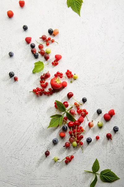 Fondo Blanco Con Bayas — Foto de Stock