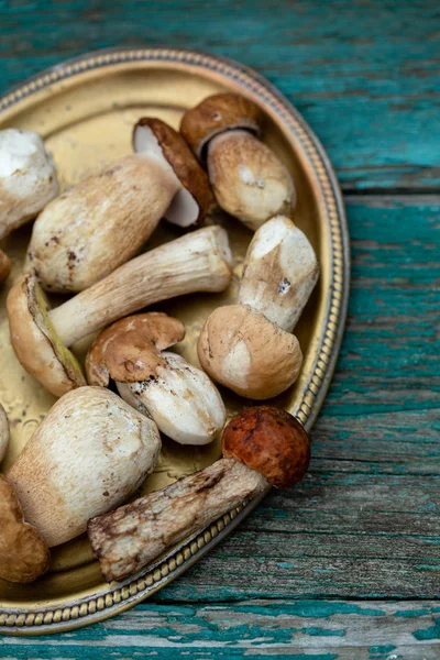 White Cep Mushrooms — Stock Photo, Image