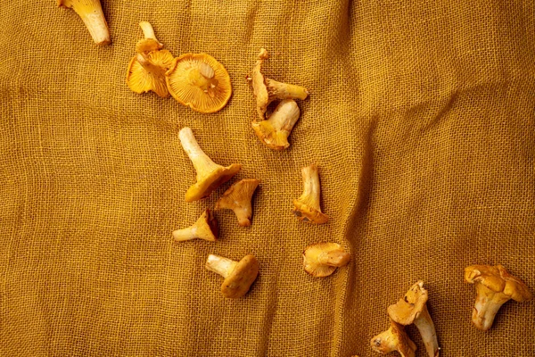 Taze sarı chanterelles yukarıdaki
