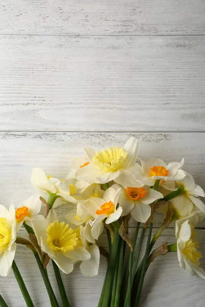 Narciso Primaveral Blanco Amarillo Arriba — Foto de Stock