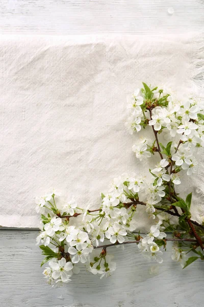 キッチン タオルの上に春枝 — ストック写真