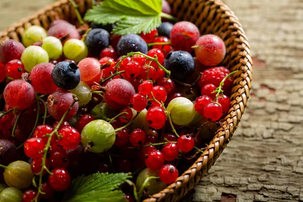 Mixed Summer Berry Basket Green Background — Stock Photo, Image