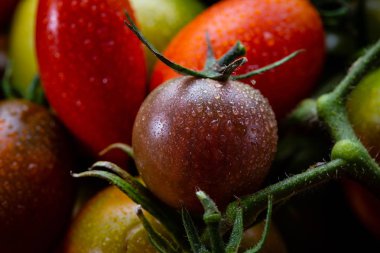 Su damlalı taze domates.
