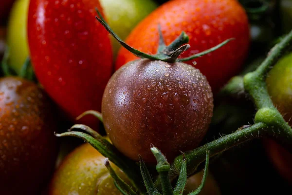 Su damlalı taze domates.