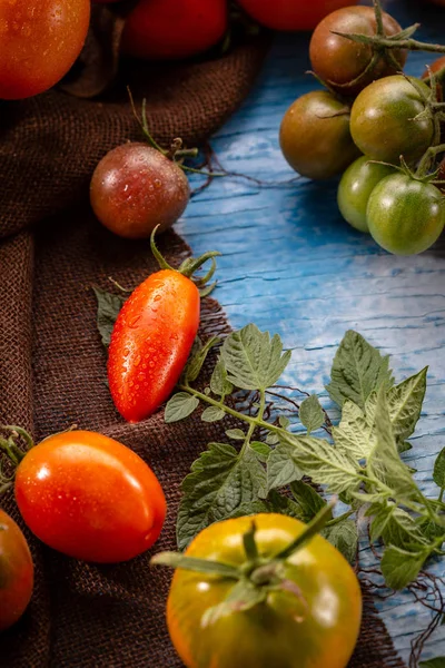 新鲜番茄成熟绿色 — 图库照片