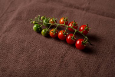 Küçük kiraz domates şube