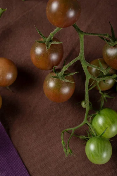 Brown cherry tomatoes branch above