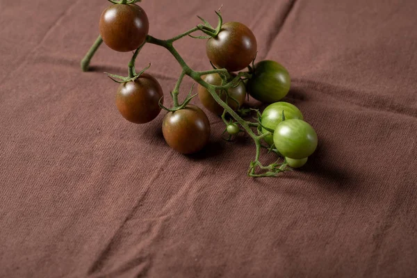 Brown cherry tomatoes branch