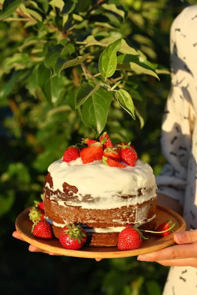 Verse Taart Zomer Achtergrond — Stockfoto