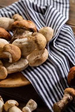 Taze orman mantar plaka üzerinde