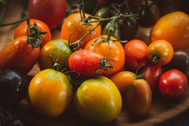 Hatıra domates yakın çekim