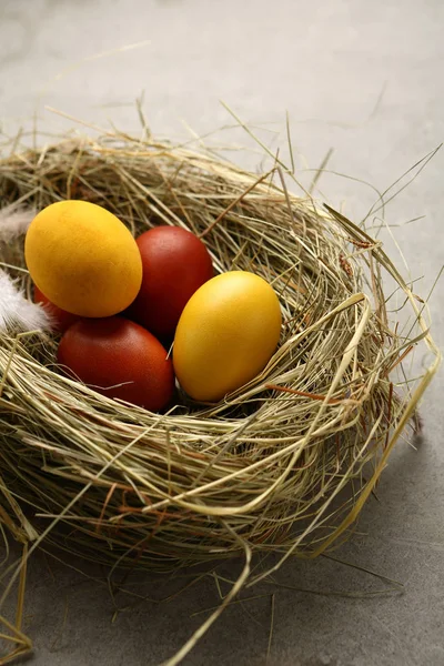 Brown Yellow Easter Eggs Nest Holiday Food — Stock Photo, Image