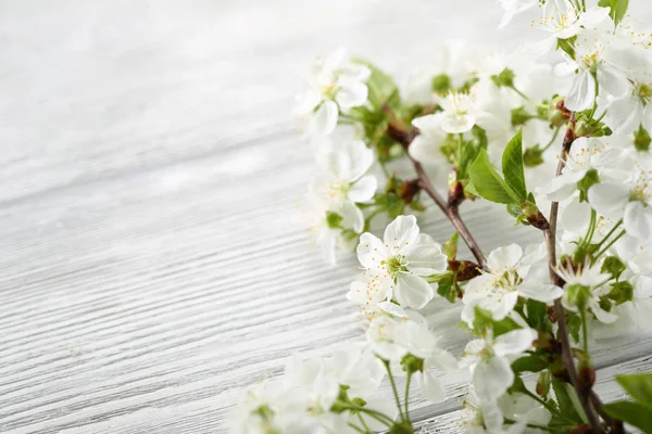 Vit Trä Våren Bakgrund Med Blommor — Stockfoto