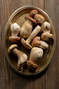 Taze orman mantar tabakta