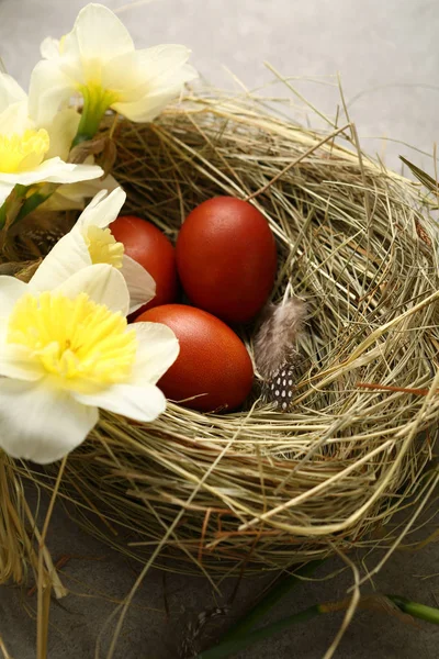 Ostereier im Nest mit Blumen — Stockfoto