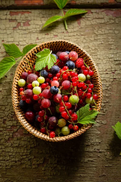 Čerstvé malina do košíku — Stock fotografie