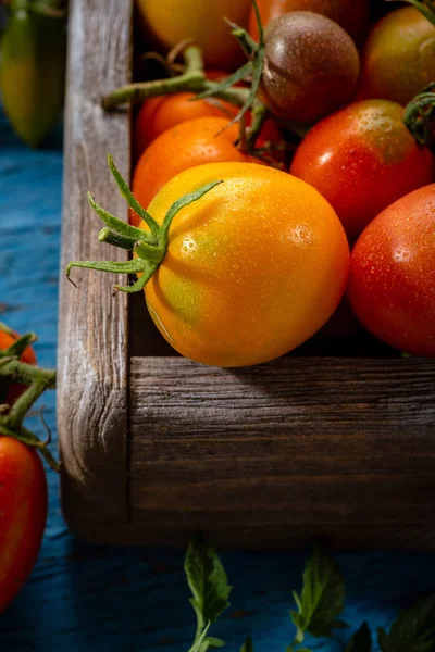 Свіжі помідори в коробці — стокове фото
